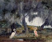 At Tampa - 温斯洛·荷默